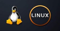 精通Linux系列十：如何在4个G的日志中找到错误记录（文件文本操作）
