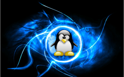 Linux系统目录结构讲解