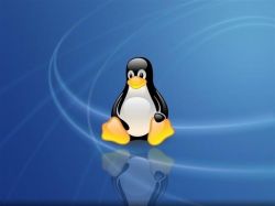 程序员必看 Linux 常用命令(重要)