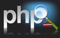 PHP函数参数传递详解