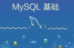 mysql查询当天的数据