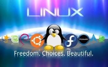 Linux系统配置优化：实用技巧大揭秘